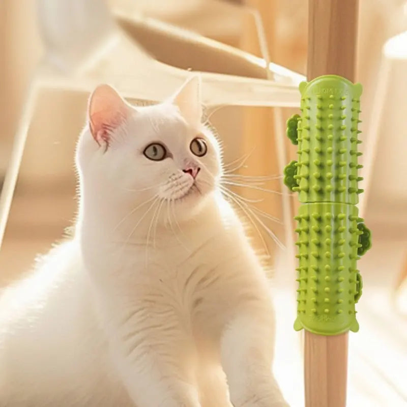 Cat corner self-groomer with massage bristles, view 10
