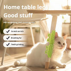 Cat corner self-groomer with massage bristles, view 4